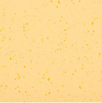 Фото товара - Напольное ПВХ покрытие  MIPOLAM BIOPLANET 5432 Sun Stone